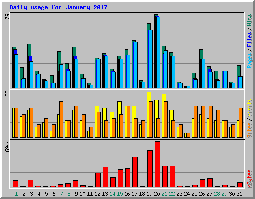 Daily usage for January 2017