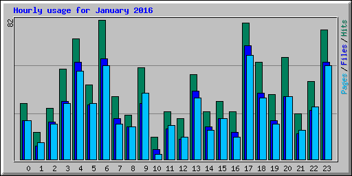 Hourly usage for January 2016