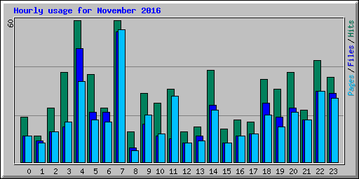 Hourly usage for November 2016