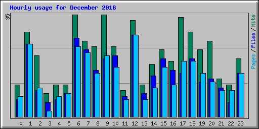 Hourly usage for December 2016