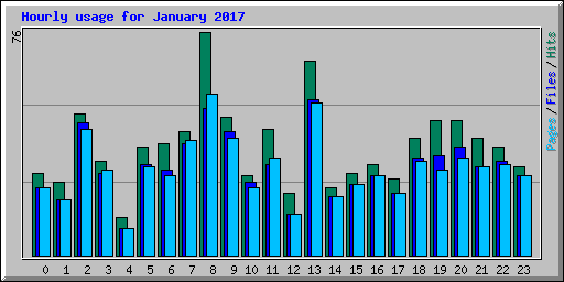 Hourly usage for January 2017