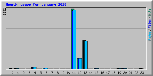 Hourly usage for January 2020